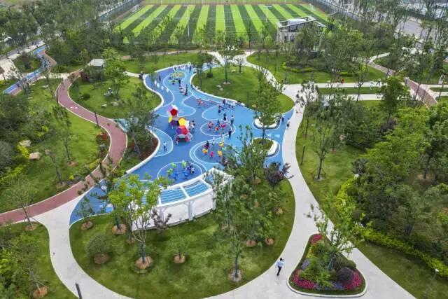 合肥蜀山:在家门口的“健身圈”收安博体育获运动快乐(图1)