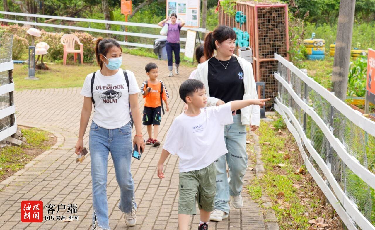 “安博体育五一”假期海口100余项文旅活动“多点开花”搅热椰城(图6)