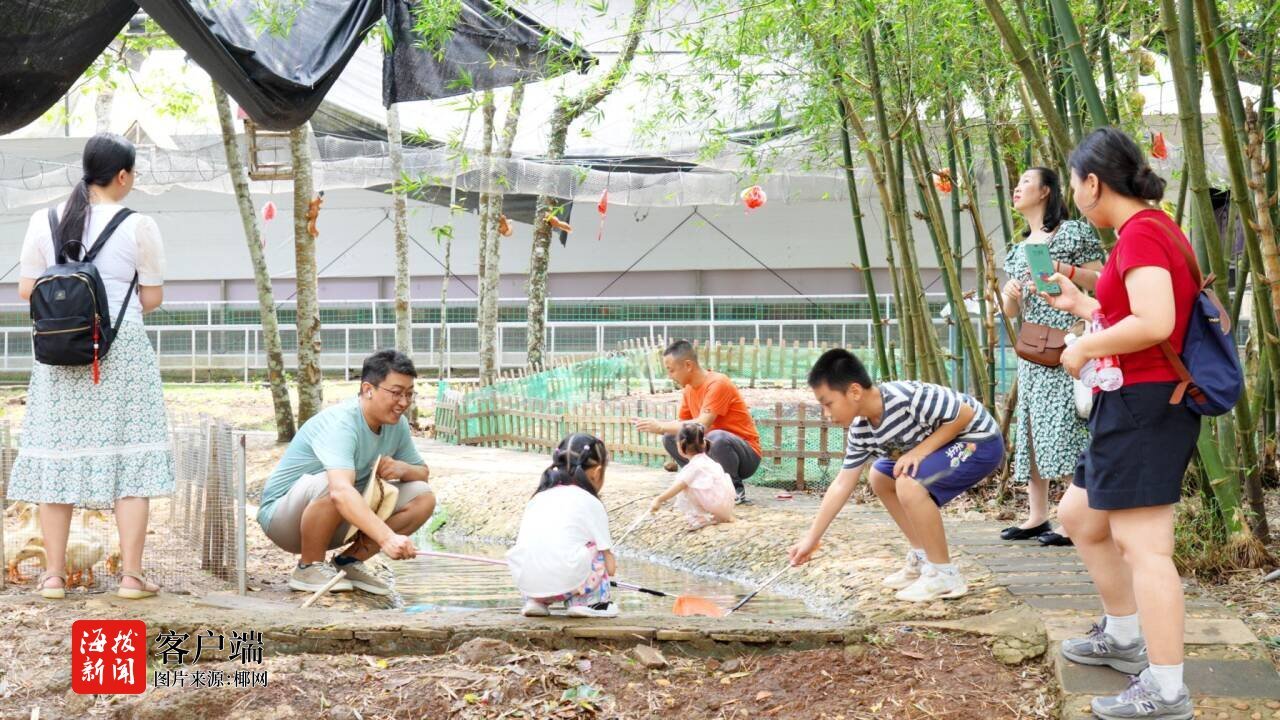 “安博体育五一”假期海口100余项文旅活动“多点开花”搅热椰城(图1)