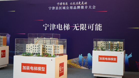 打安博体育造三大区域公用品牌“以产兴县”助推“宁津智造”跃升(图1)