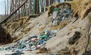 行业分析：预测2024年中国安博体育平台健身器材市场规模将达7996亿元(图5)