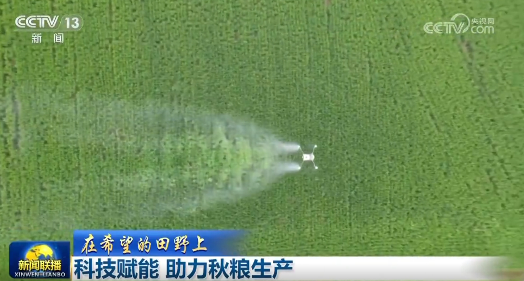 一系列“稳经济”政策安博体育措施持续显效高质量发展提“智”向“新”稳中向好(图6)