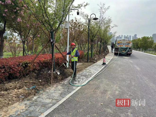 人在园中游跑步和打球骑行城市中林木亦葱茏!绿意满满的武汉更安博体育活力满满(图7)