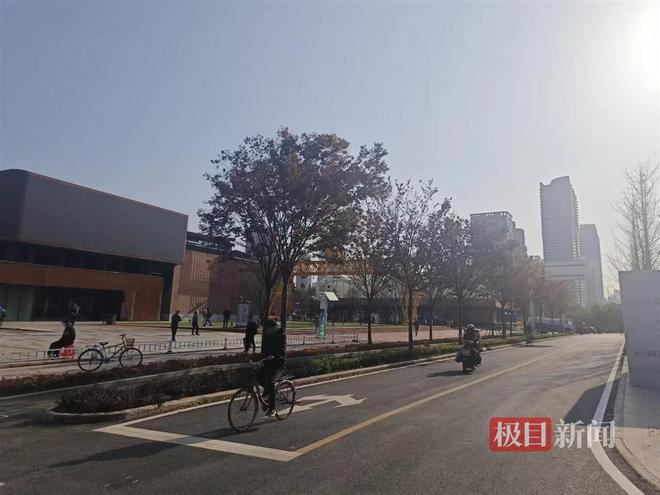 人在园中游跑步和打球骑行城市中林木亦葱茏!绿意满满的武汉更安博体育活力满满(图5)
