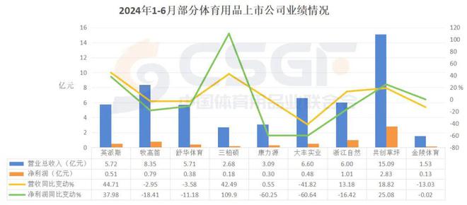 安博体育从2024半年报看中国体育用品公司如何穿越周期(图1)