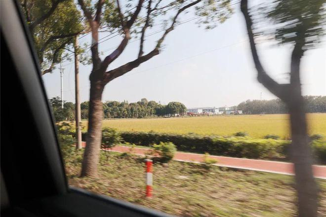 家安博体育门口实现运动自由！华新新增一批健身好去处(图4)