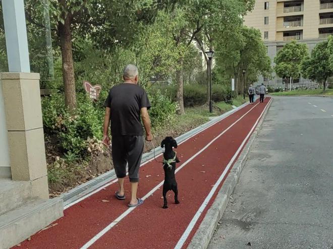 家门口添新活力！四团镇的这些健身器材焕新升级安博体育啦(图6)