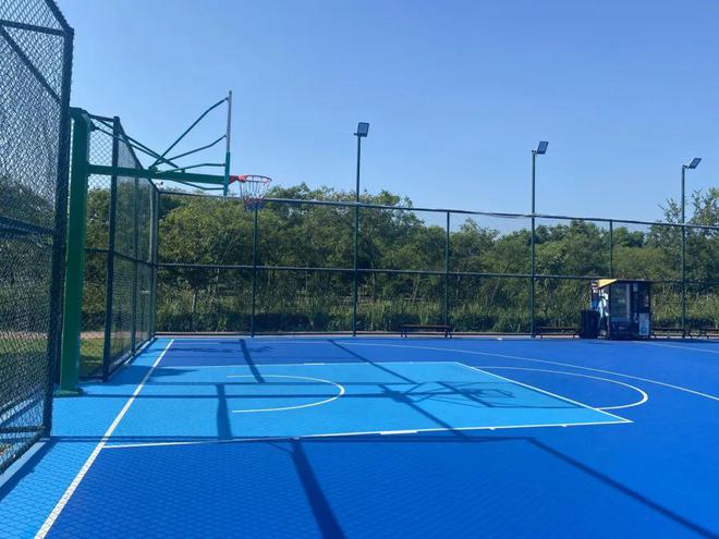 安博体育社区食堂建成使用、重点商业项目开工……泗泾镇2024年实事工程“年终总结”来了→(图7)