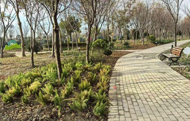 安博体育社区食堂建成使用、重点商业项目开工……泗泾镇2024年实事工程“年终总结”来了→(图12)