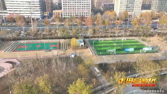 安博体育平台高新区体育：回顾2024展望2025(图1)