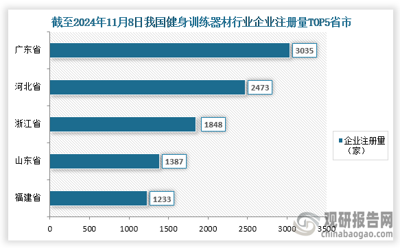 安博体育中国健身训练器材行业现状深度研究与未来前景分析报告（2024-2031年）(图1)