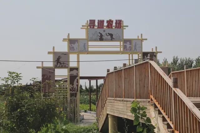 走齐鲁·看体育社会组织活力东昌体育社会力量正奔涌安博(图10)