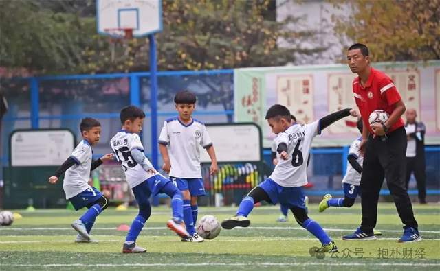 安博体育这个行业年均增速103%北上广深杭都在疯狂赚钱(图13)