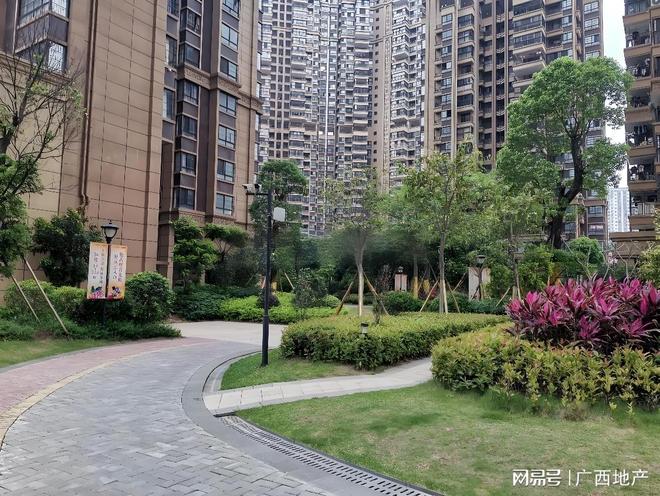 太燃了！南宁一小区交房7年公共收益达百万安博体育(图2)