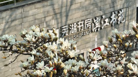 城市更新蕪湖大有作安博体育平台為!(图8)