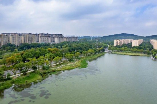 城市更新蕪湖大有作安博体育平台為!(图20)