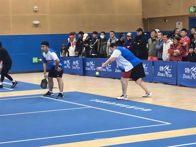 安博体育平台网球羽毛球乒乓球“三合一”|这项网红运动首次在哈开展正式比赛(图1)