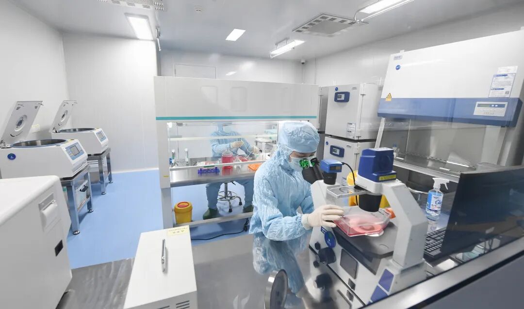 定州:追“智”逐“新”向未来安博体育平台(图1)