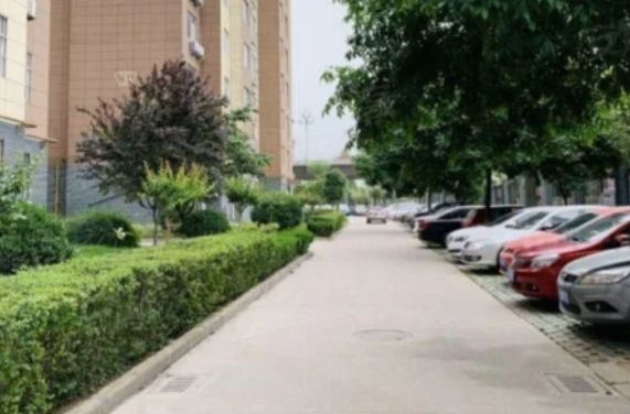 安博体育坦白局：你家小区中了几条？道路坑洼、雨天漏水、墙皮脱落(图9)