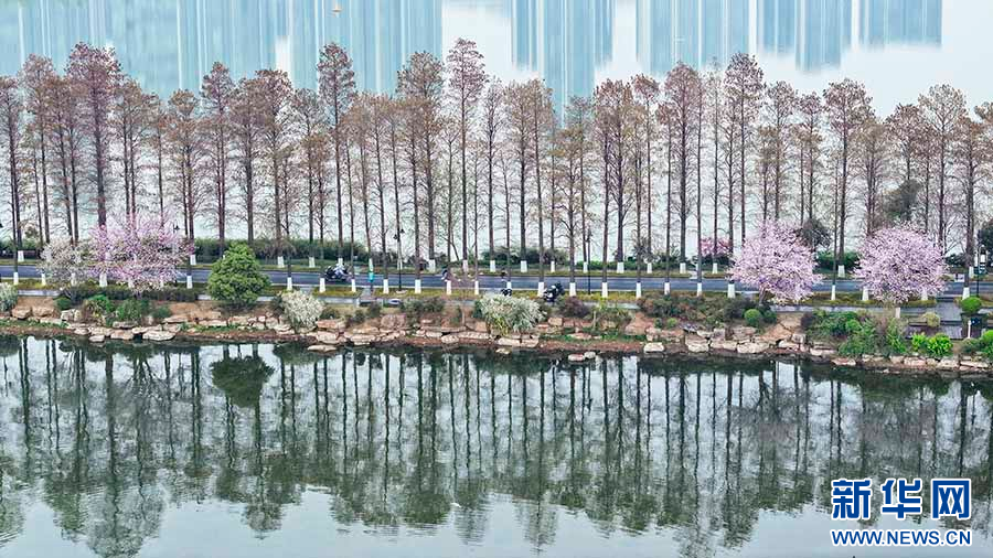 聚焦高质量发展｜武汉：“体育+”赋安博体育能产业融合激活高质量发展新引擎(图3)