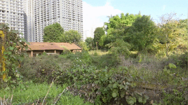 安博体育好消息昆明将新建两所学校！还有一所18班幼儿园(图3)