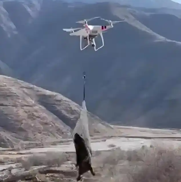 “无人机捕猎”野生动物存在哪些问题应当如何管理?安博体育(图2)