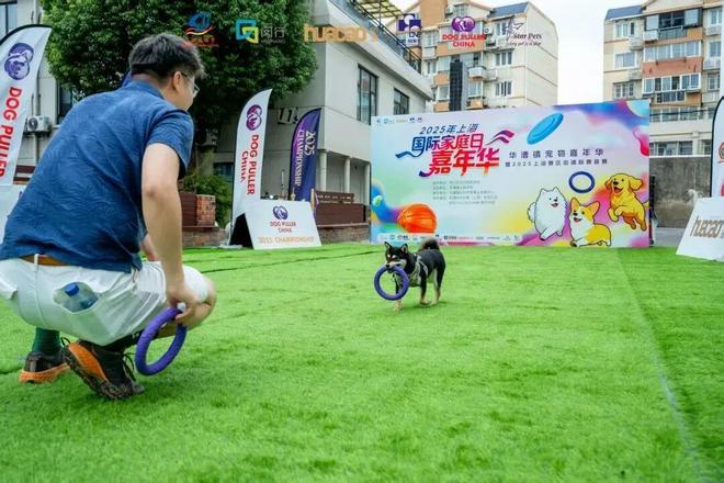 闵行的她荣获全国群众体育先进个人称安博体育平台号(图4)