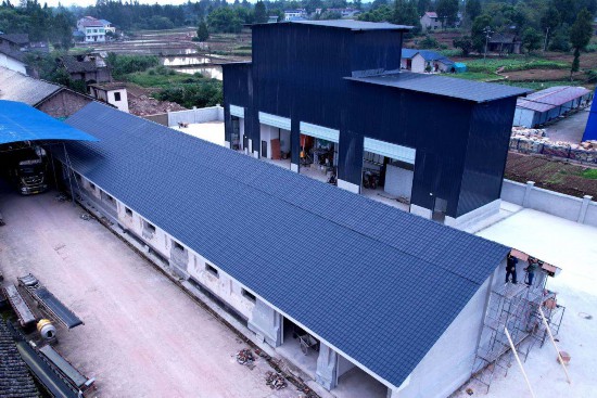 四川营山：干群安博体育平台携手绘就乡村振兴新图景(图3)