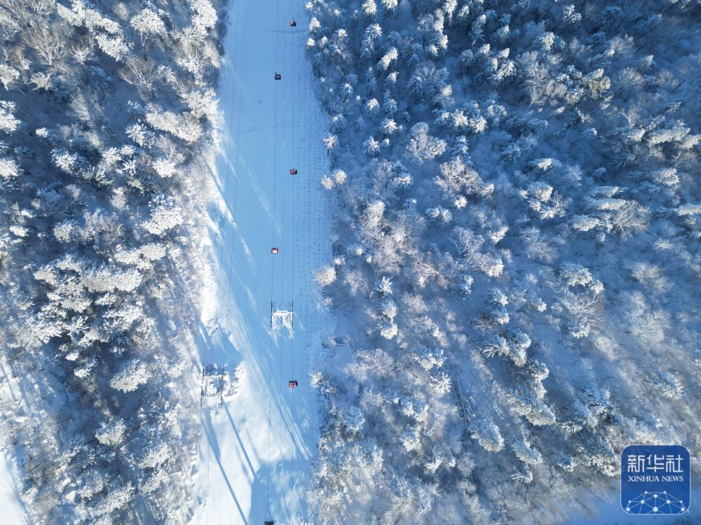 econ安博体育tent(图6)