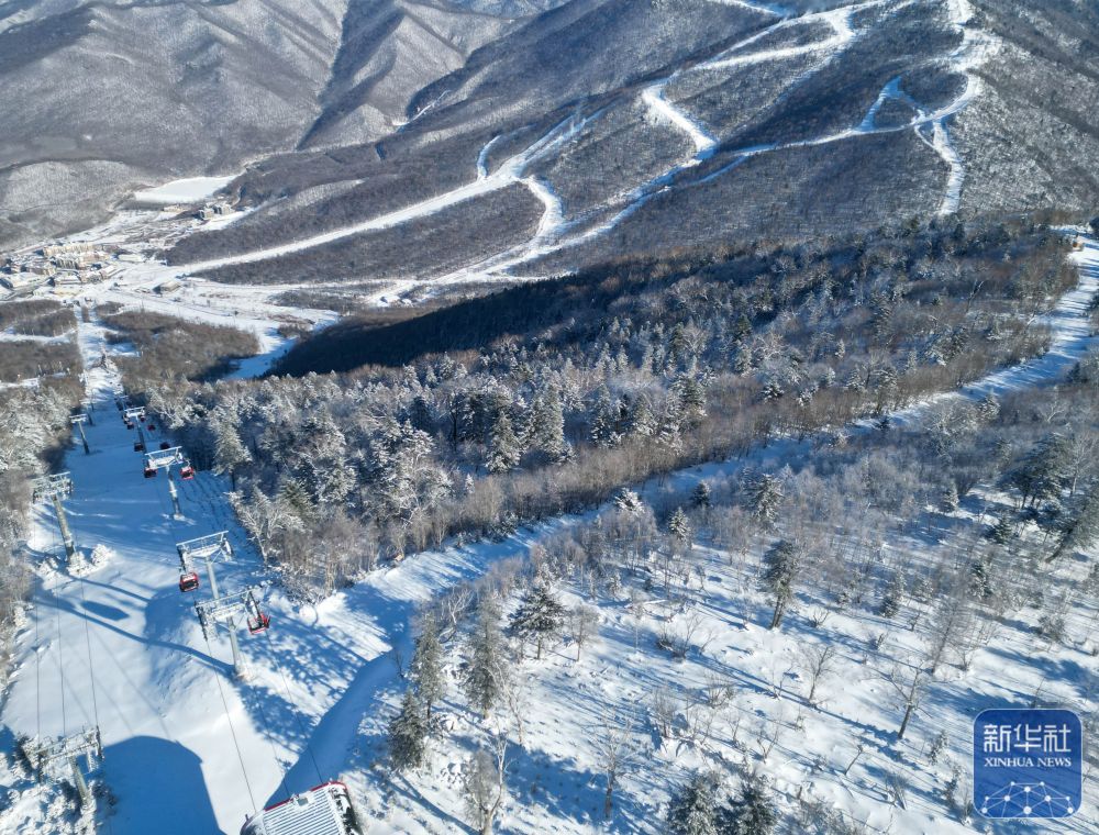 econ安博体育tent(图11)