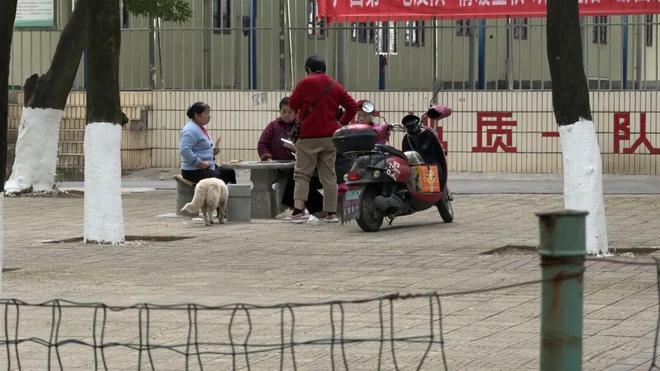 从“忧居”到“优居”临桂民生温度安博体育暖街巷(图1)