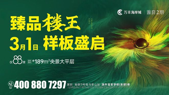 安博体育平台万丰海岸城瀚府100平豪装现楼2梯3户豪宅配比约31m层高(图14)