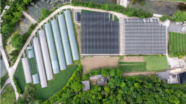 安博体育铸牢共同体绘就振兴卷——省民宗委对口帮扶鹤峰县纪实(图2)