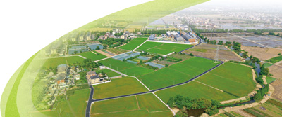 安博体育人民日報關注︱蘇州等多地連點成片片區化推進鄉村振興(图5)