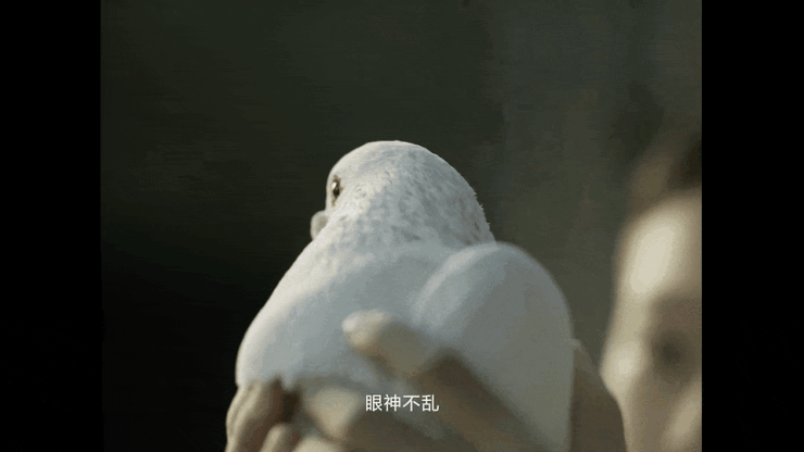 年度微电影《定神》首映：一场关于传统安博体育文化传承的当代哲思(图6)